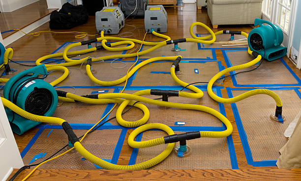 Professional Basement Flood Cleanup technician working in North Star, DE